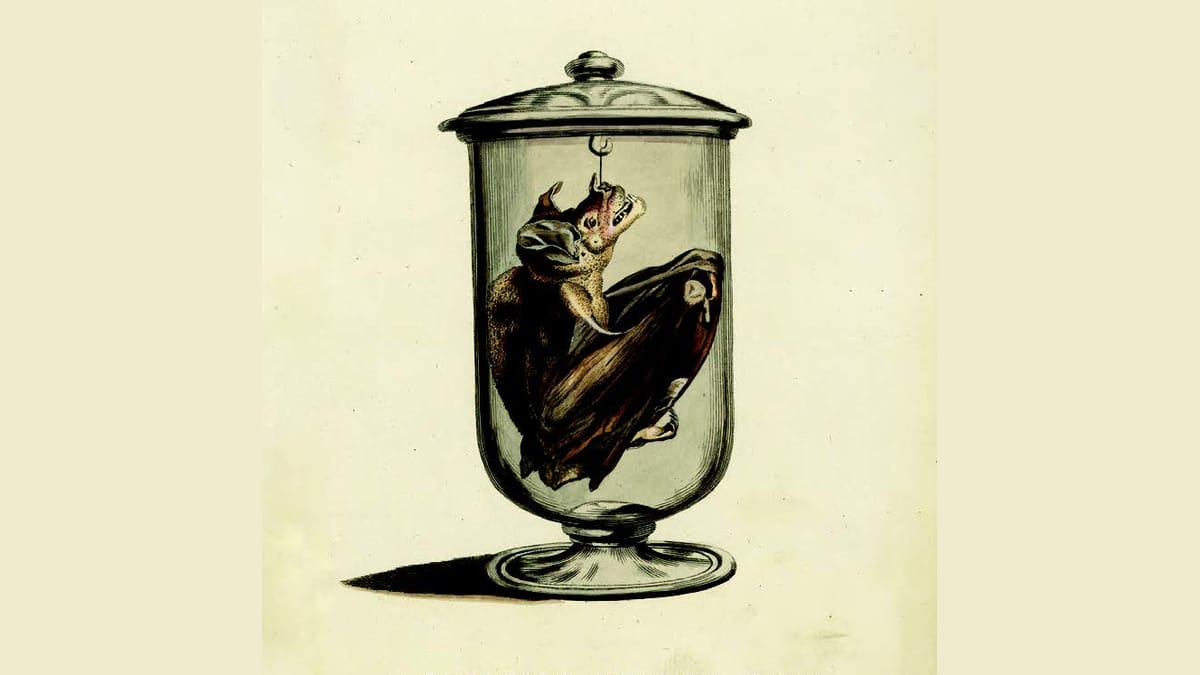 “We Might Actually Be Living in Hell” (with Luke O’Neil)