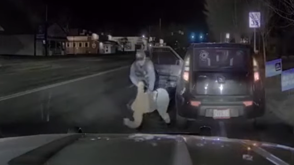 The Incredible Shrinking Police Complaint Database