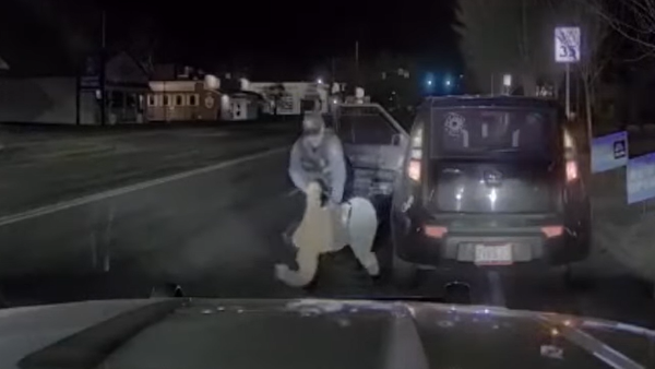 The Incredible Shrinking Police Complaint Database